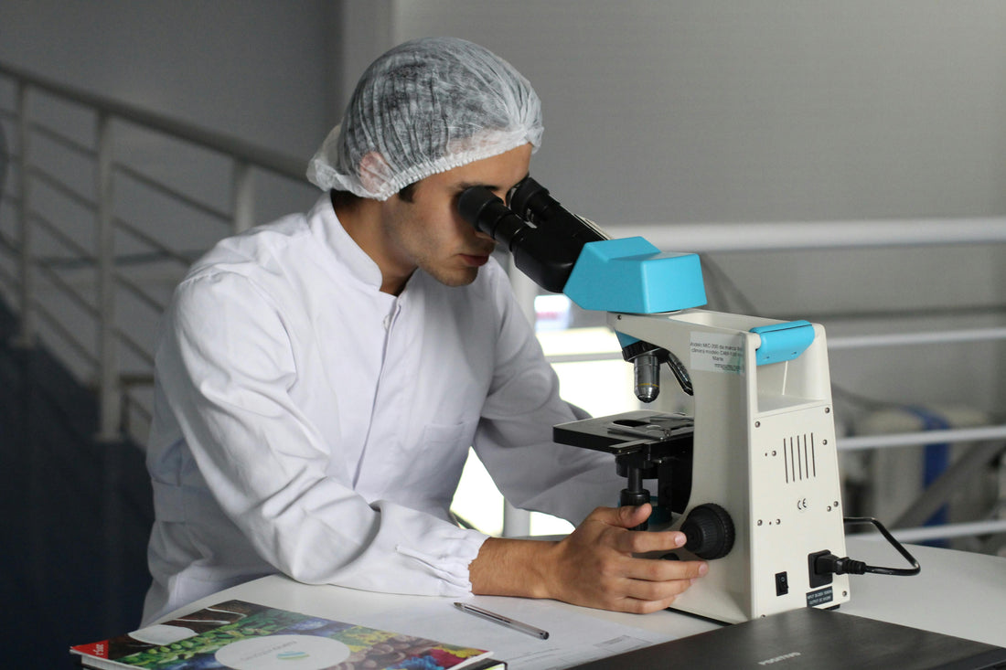 CPSR Reports - What are they?