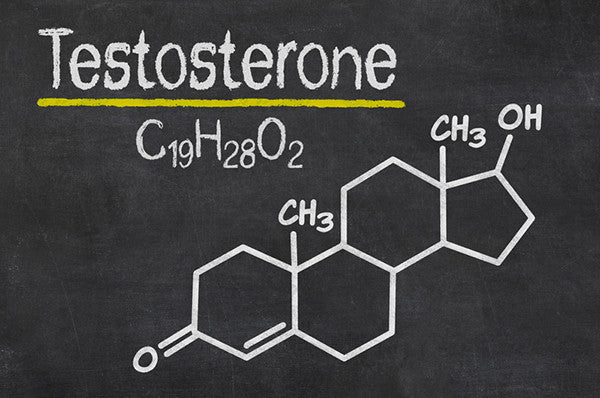 Testosterone and Beard Growth: What Every Bearded Man Should Know